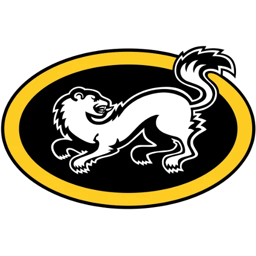 Kärpät