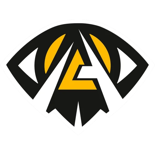 Anonymo Esports队徽