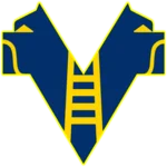 Hellas Verona U20队徽
