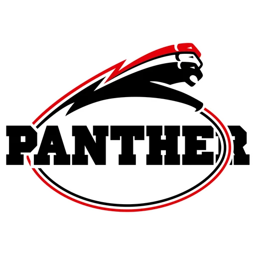 Düsseldorf Panther