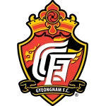 庆南FC队徽
