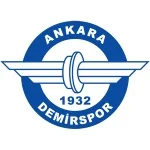 Ankara Demirspor队徽