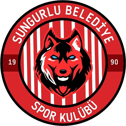 Sungurlu Belediyespor