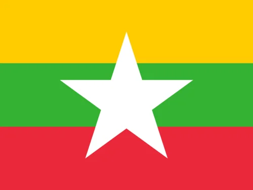 Myanmar队徽