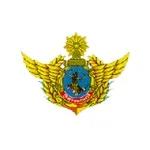 国防队徽