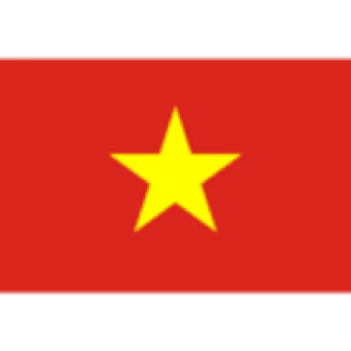 Vietnam队徽