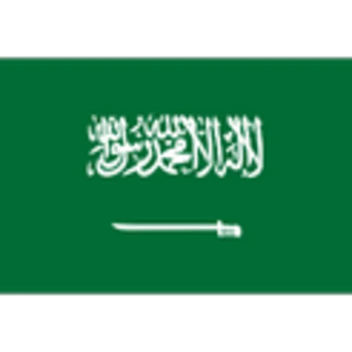 Saudi Arabia队徽