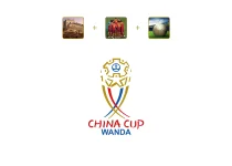 中国杯队徽