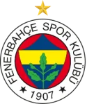 Fenerbahce 2 W队徽