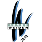 魏登队徽
