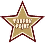 赫尔辛基ToPo队徽