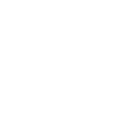 Womens Cricket World Cup