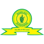 Mamelodi Sundowns W队徽