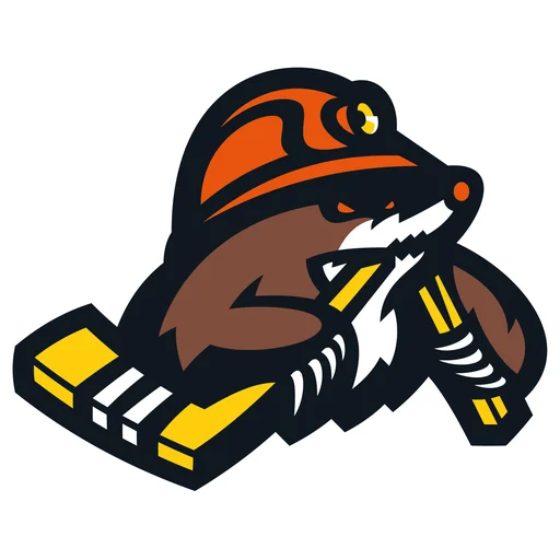 HC Shakhtyor Soligorsk