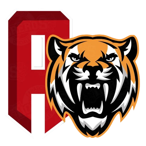 Tigres de Aragua