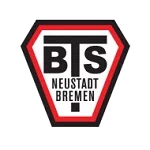 新城BTS队徽
