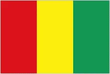 Guinea U20队徽