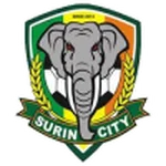 Surin队徽