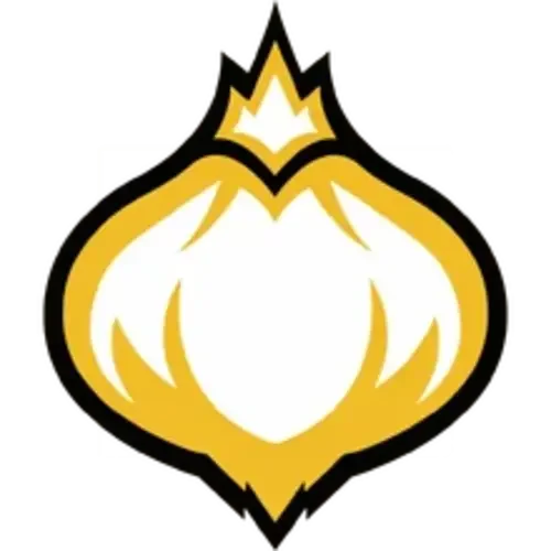 Onion Team队徽