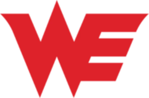 Team WE队徽