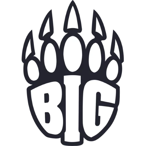 BIG Academy队徽