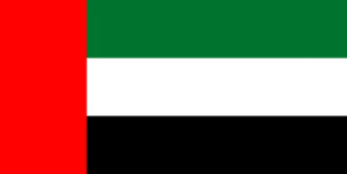 United Arab Emirates队徽