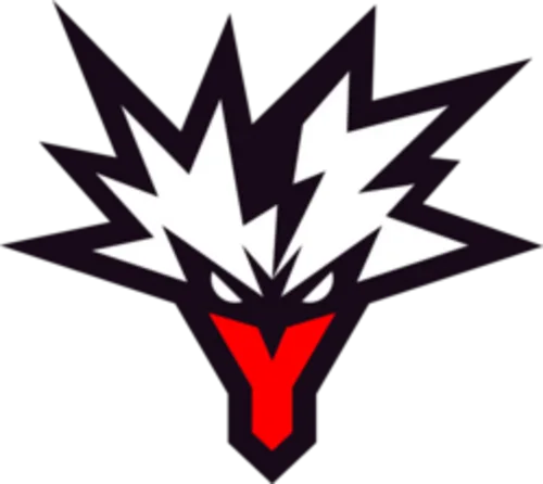 Team Yandex队徽