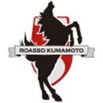 熊本深红队徽