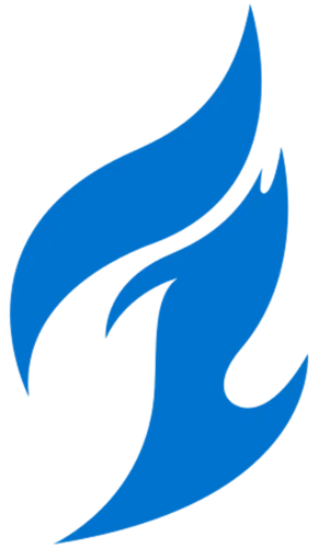 Dallas Fuel队徽