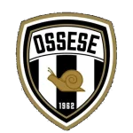 Ossese队徽