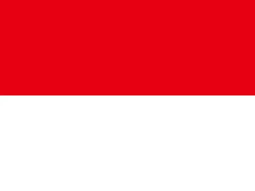 Indonesia队徽