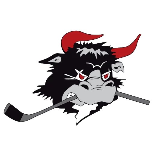 Rødovre Mighty Bulls