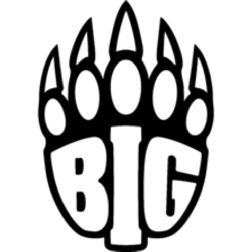 BIG队徽
