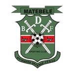 BDF XI队徽