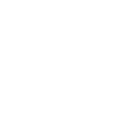 Braunschweig Lions