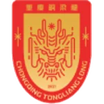 重庆铜梁龙队徽