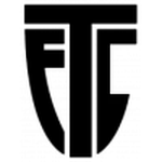 坦佩尔队徽