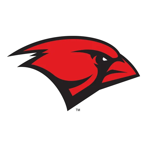 Incarnate Word