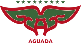 Aguada队徽