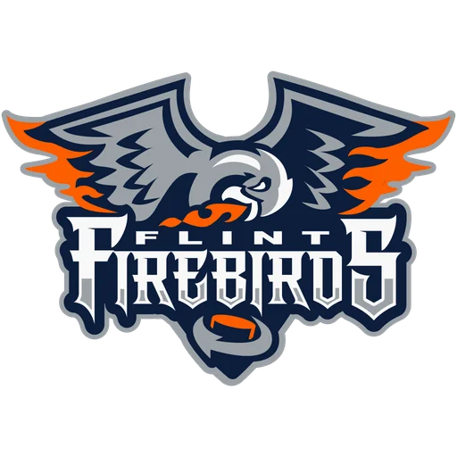 Flint Firebirds