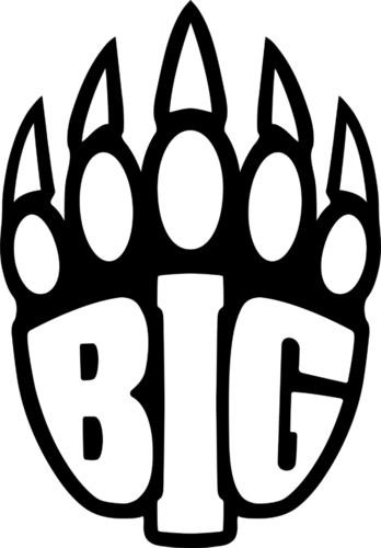BIG队徽