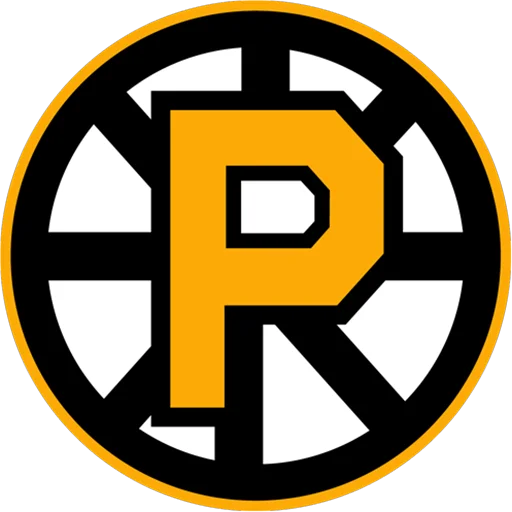 Providence Bruins