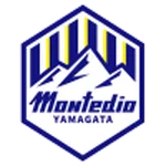 山形山神队徽
