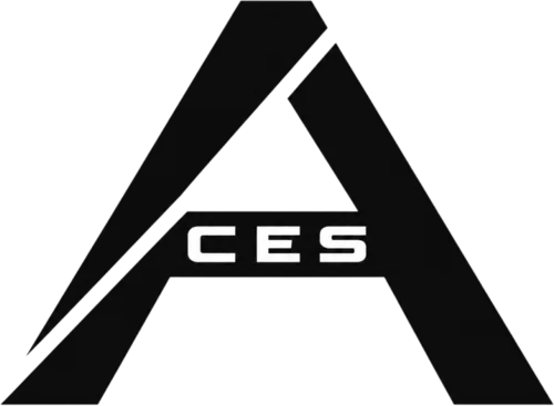 Team ACES队徽