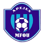 APEJES Academy队徽
