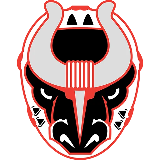 Birmingham Bulls