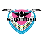 鸟栖砂岩队徽