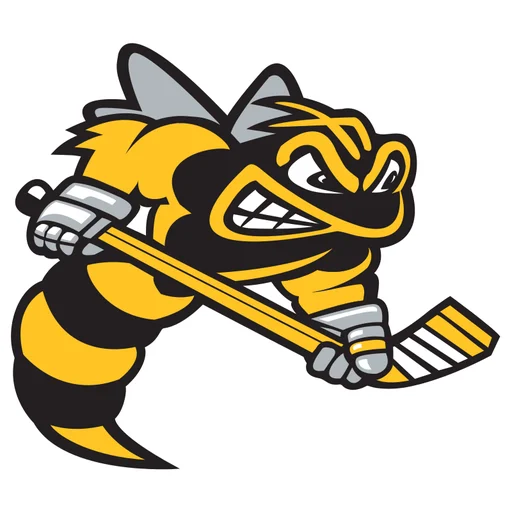 Sarnia Sting