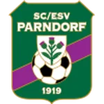 帕恩多夫队徽